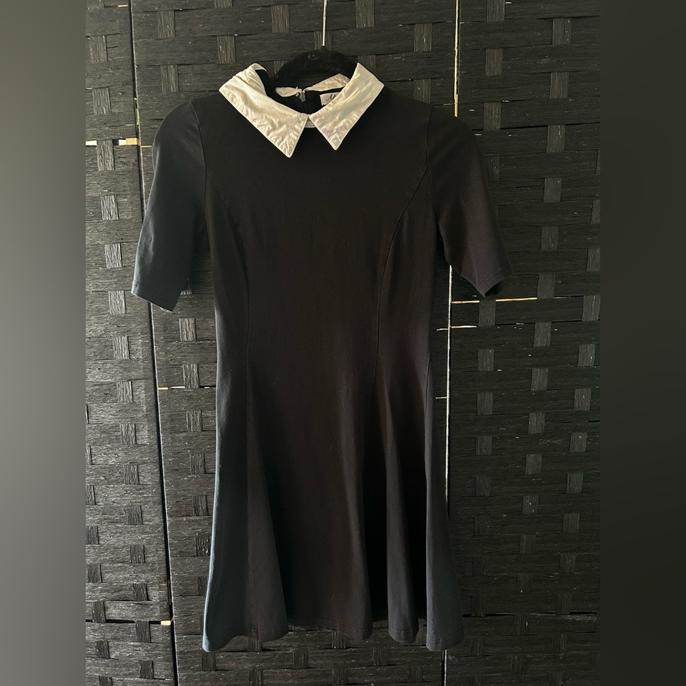 Elegant Black Dress with White Collar